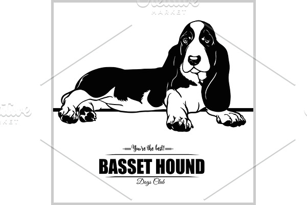 Basset Hound Dog - vector
