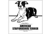 American Staffordshire Terrier Dog -