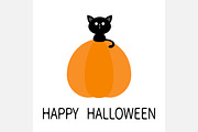 Black cat sitting on pumpkin.