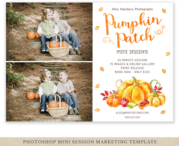 Pumpkin Patch Mini Session Template in Flyer Templates - product preview 1
