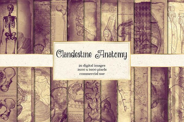Clandestine Anatomy Textures
