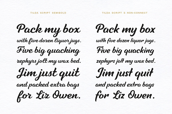 Tilda Script — stylish font family in Script Fonts - product preview 1