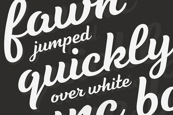 Tilda Script — stylish font family in Script Fonts - product preview 2