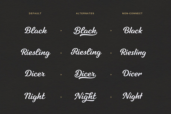 Tilda Script — stylish font family in Script Fonts - product preview 3