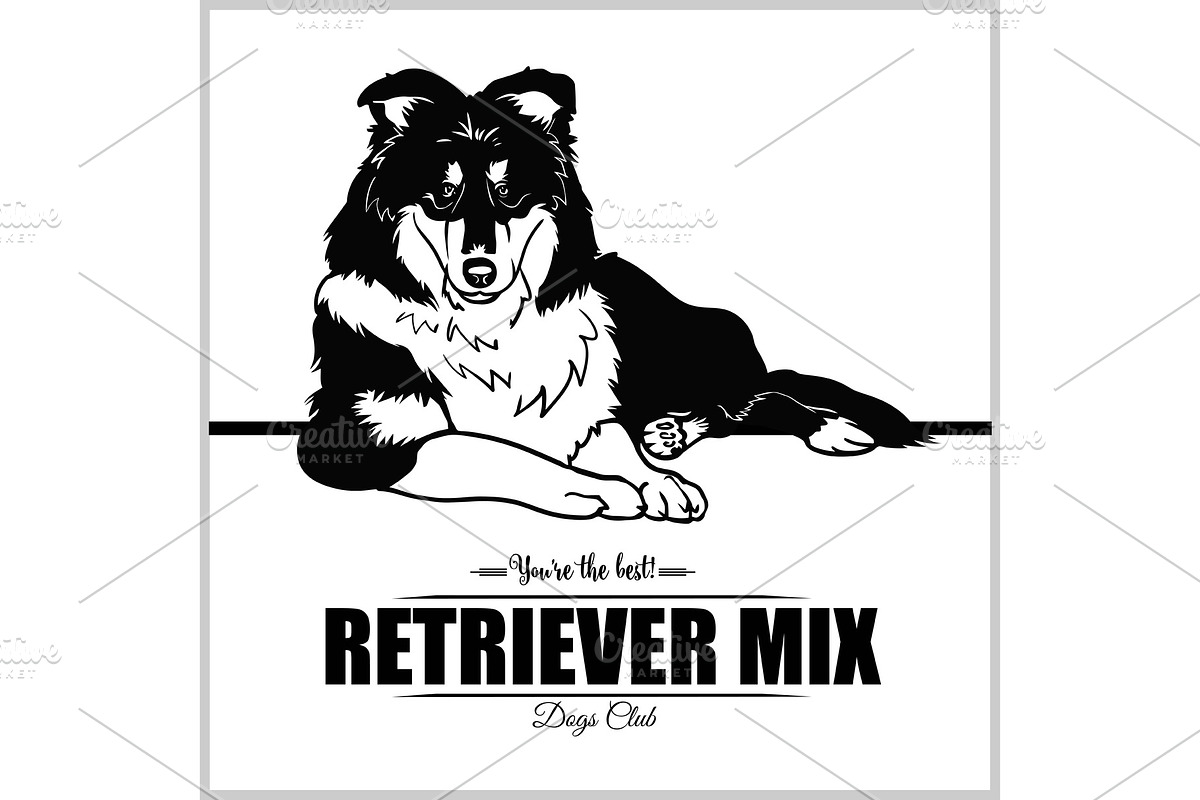 Retriever Mix Dog - vector in Illustrations - product preview 8