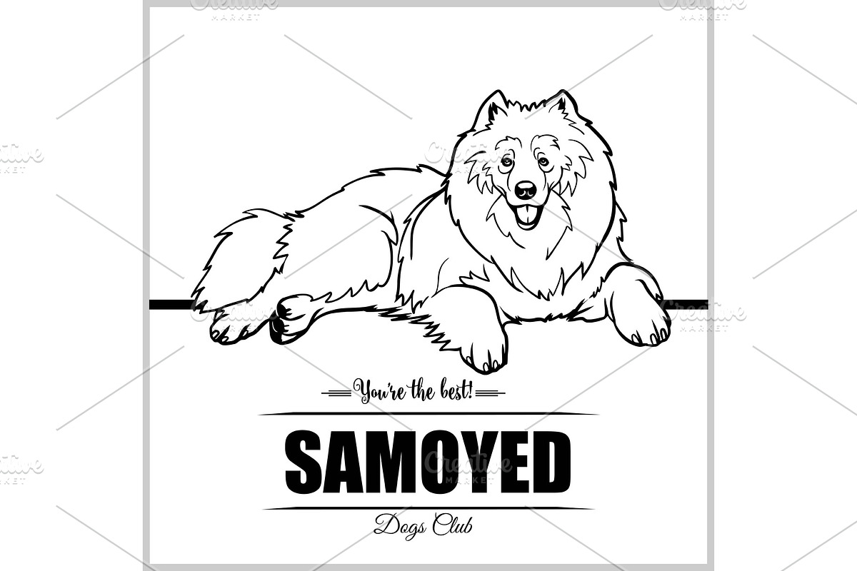 Samoyed Dog - vector illustration in Illustrations - product preview 8