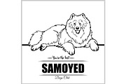 Samoyed Dog - vector illustration