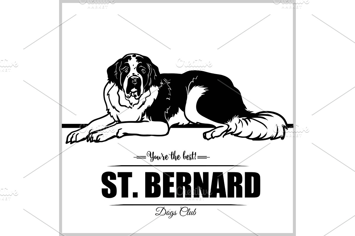 St. Bernard Dog - vector in Illustrations - product preview 8