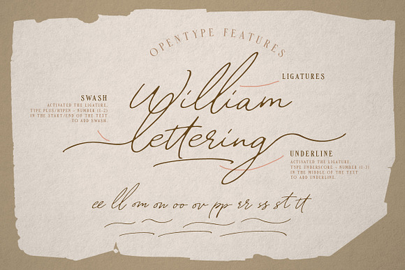 William Letter Signature Script in Script Fonts - product preview 7
