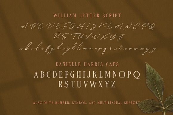 William Letter Signature Script in Script Fonts - product preview 8
