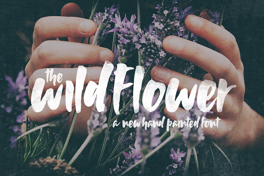 Wildflower Font in Display Fonts - product preview 8