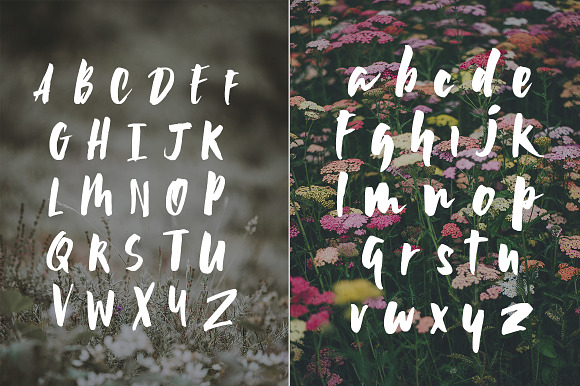 Wildflower Font in Display Fonts - product preview 4