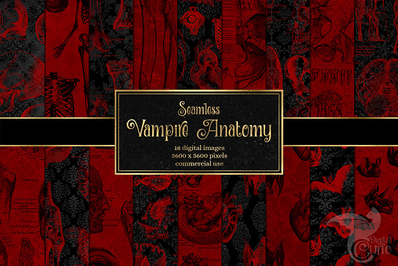 Vampire Anatomy Digital Paper in Patterns - product preview 2