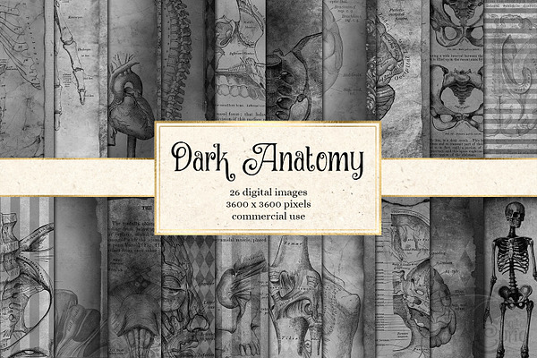 Dark Anatomy Digital Paper Textures