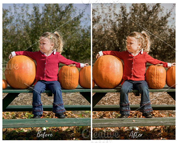 10  LIGHTROOM PRESETS AUTUMN in Add-Ons - product preview 3