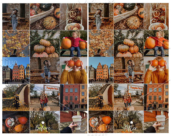 10  LIGHTROOM PRESETS AUTUMN in Add-Ons - product preview 9