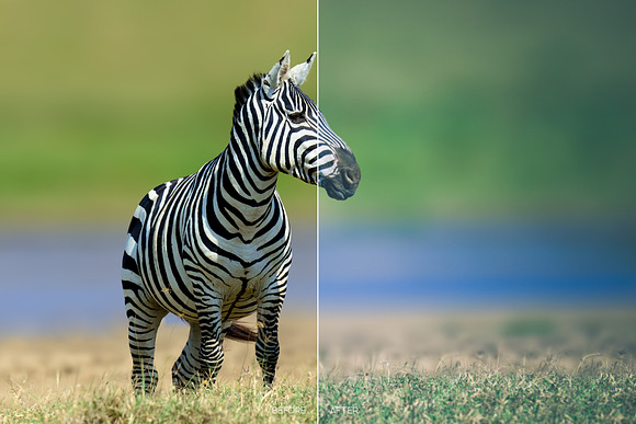 Wildlife Mobile LR and ACR Presets in Add-Ons - product preview 1