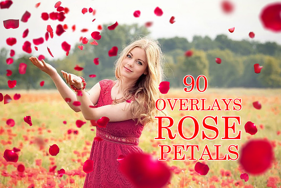 Pink, White, Red Rose Petals Overlay in Objects - product preview 6