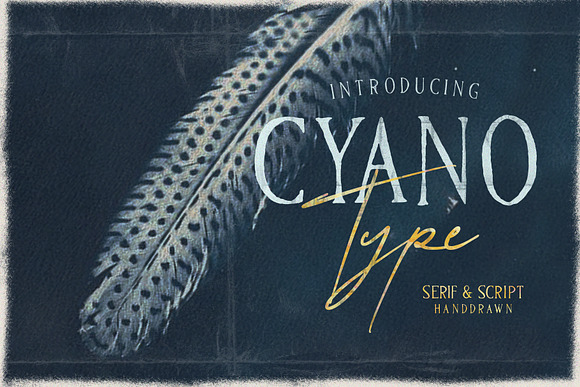 CyanoType in Display Fonts - product preview 4