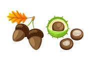 Leaf with Pair of Acorns and