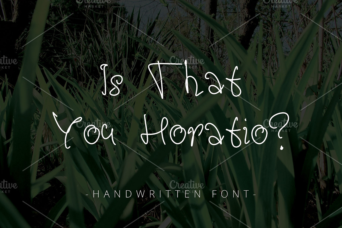 Is That You Horatio? ~ Font ~ in Display Fonts - product preview 8