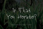 Is That You Horatio? ~ Font ~