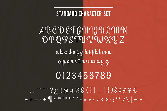 Playtoon - Script in Script Fonts - product preview 5