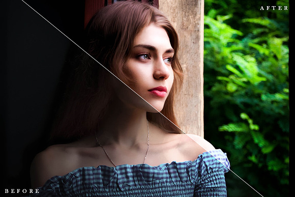Customizer Lightroom Presets in Add-Ons - product preview 2