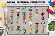 Pregnancy week by week BUNDLE