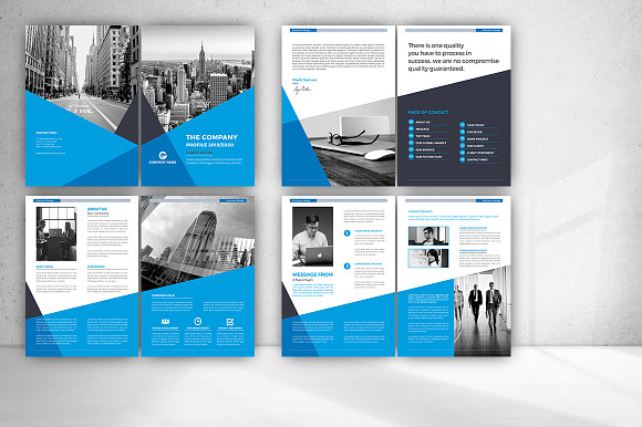 Company Profile Bundle in Brochure Templates - product preview 19