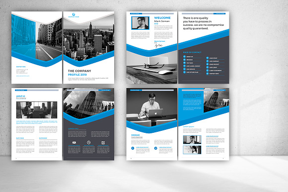Company Profile Bundle in Brochure Templates - product preview 29