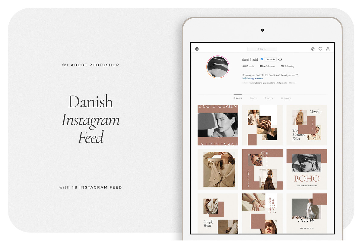 DANISH Instagram Feed in Instagram Templates - product preview 8