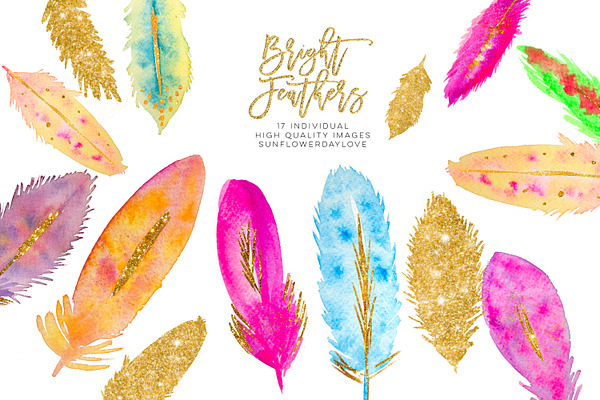 Watercolor Feathers clipart Download