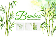 Bamboo. Watercolor collection