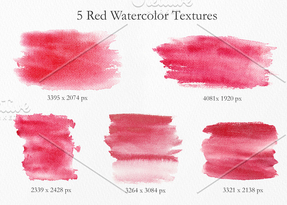 Watercolor Burgundy Floral Set in Illustrations - product preview 12