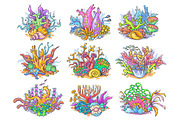 A set of colorful corals, sea, ocean