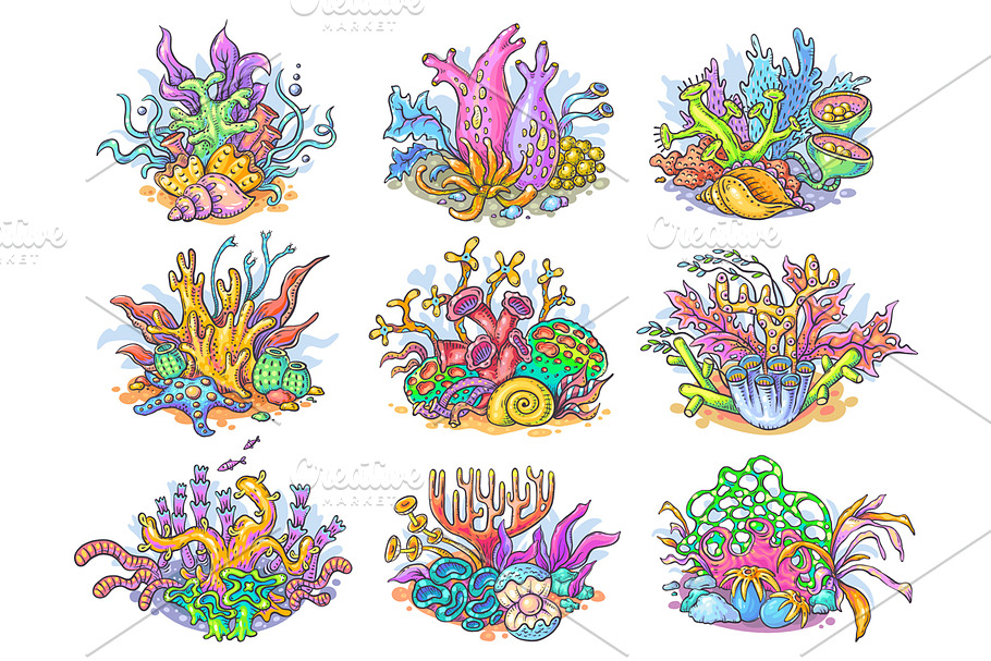 A set of colorful corals, sea, ocean