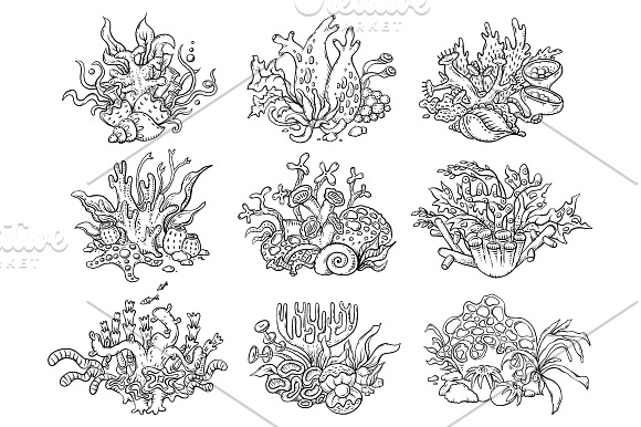 A set of colorful corals, sea, ocean in Illustrations - product preview 1