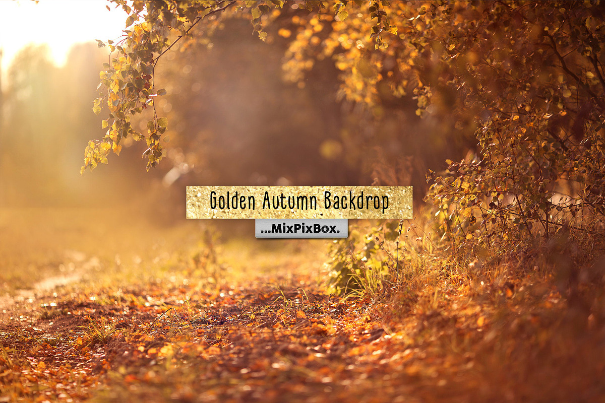 Golden Autumn Backdrop in Add-Ons - product preview 8