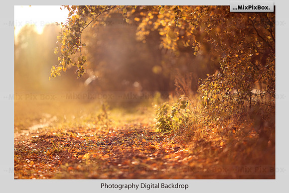 Golden Autumn Backdrop in Add-Ons - product preview 1