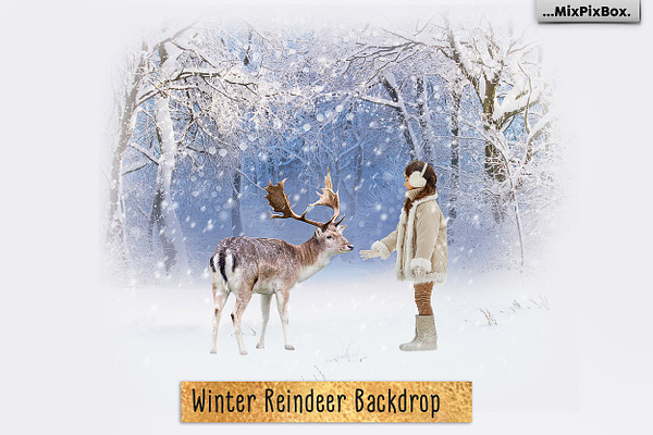 Winter Reindeer Backdrop