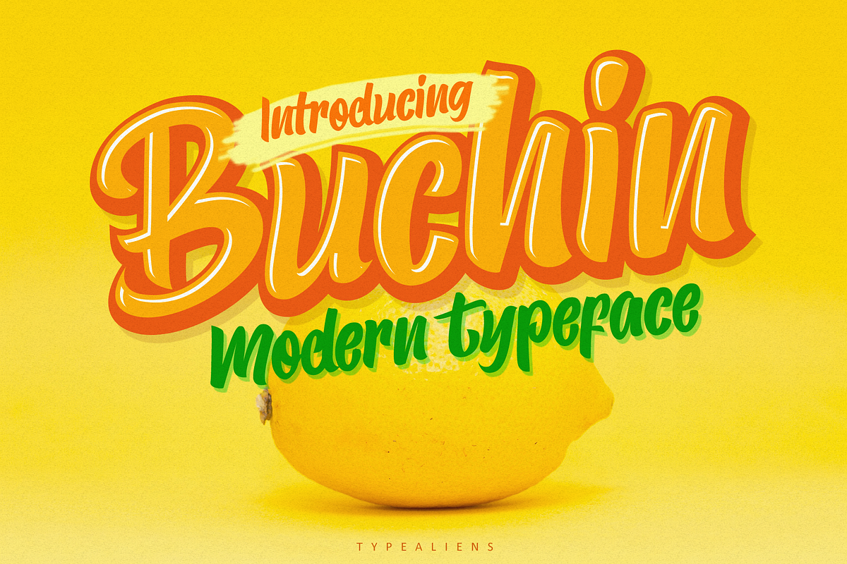 Buchin in Sans-Serif Fonts - product preview 8