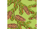 Seamless pattern with spruce