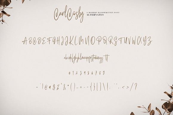 Carlcosby Font Script in Script Fonts - product preview 7