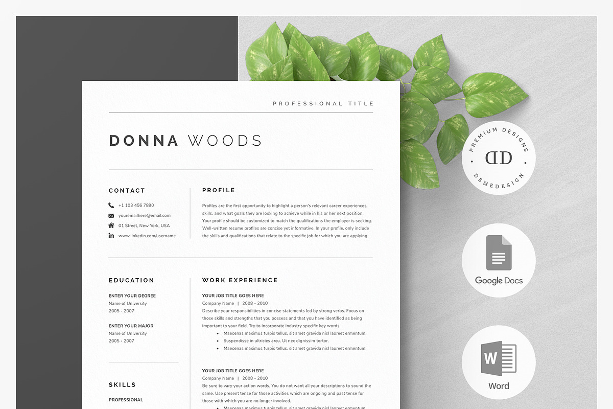 Modern Resume Template Kit in Resume Templates - product preview 8