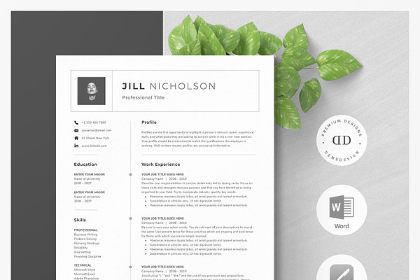 ONE Page Resume Template Kit