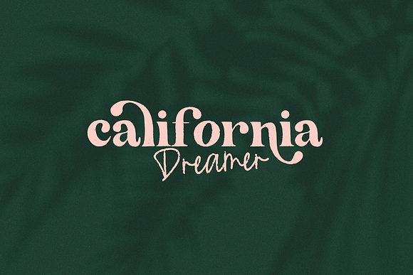 The California | Serif Font Duo in Serif Fonts - product preview 9