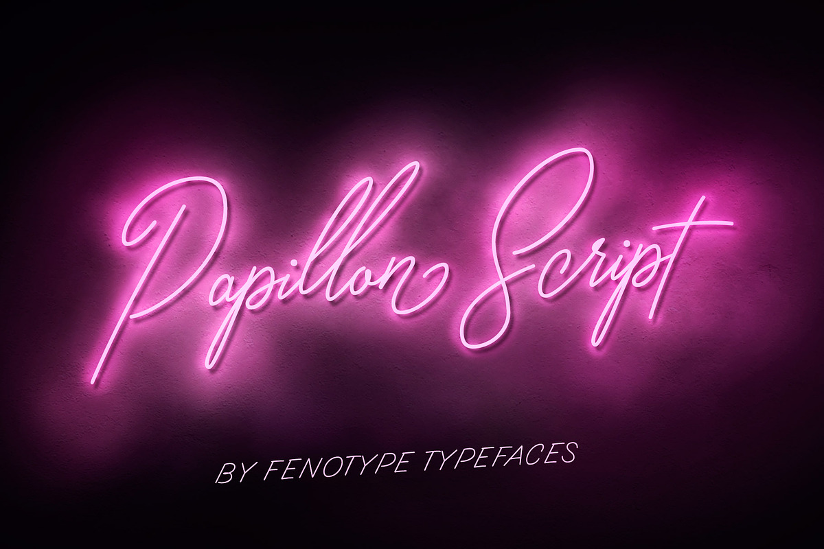 Papillon Signature Style Script in Script Fonts - product preview 8