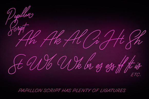 Papillon Signature Style Script in Script Fonts - product preview 9