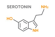 Serotonin hormone molecular formula